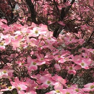 Welcome! Please read